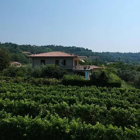 100 Sqm With Terrace In The Vineyards